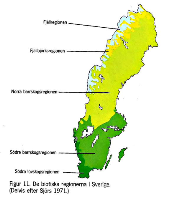 Sveriges skogsregioner